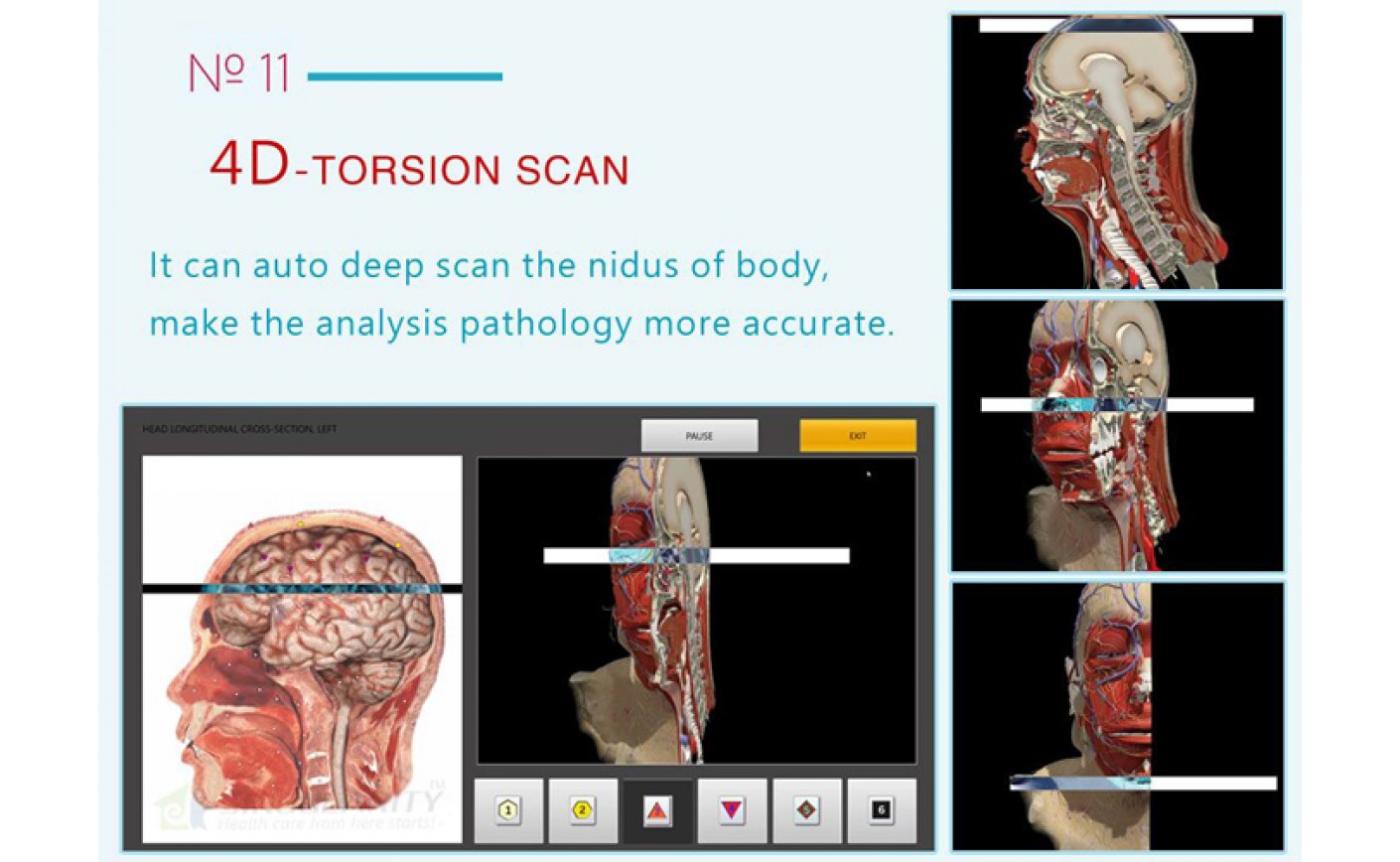 Biophilia Tracker 4D and Parkinson