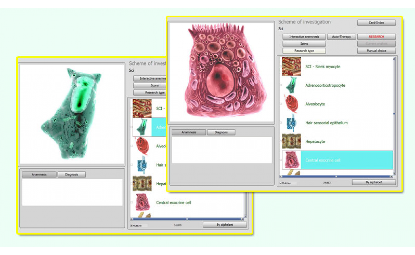 Detailed Features Of 8D-NLS