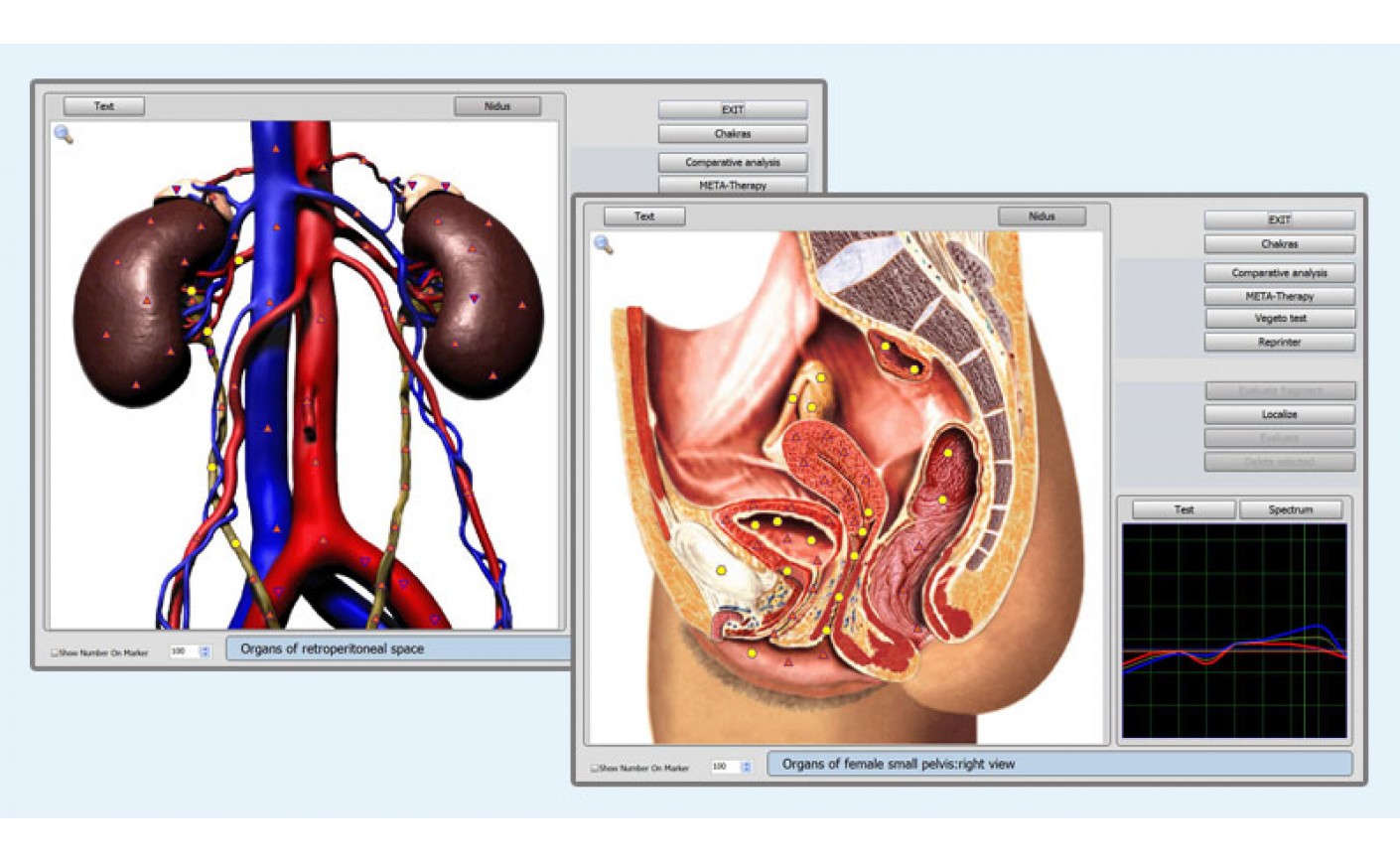 NLS-research Of 9D NLS New Prospects For Evaluation Of Lungs And Pleura Changes