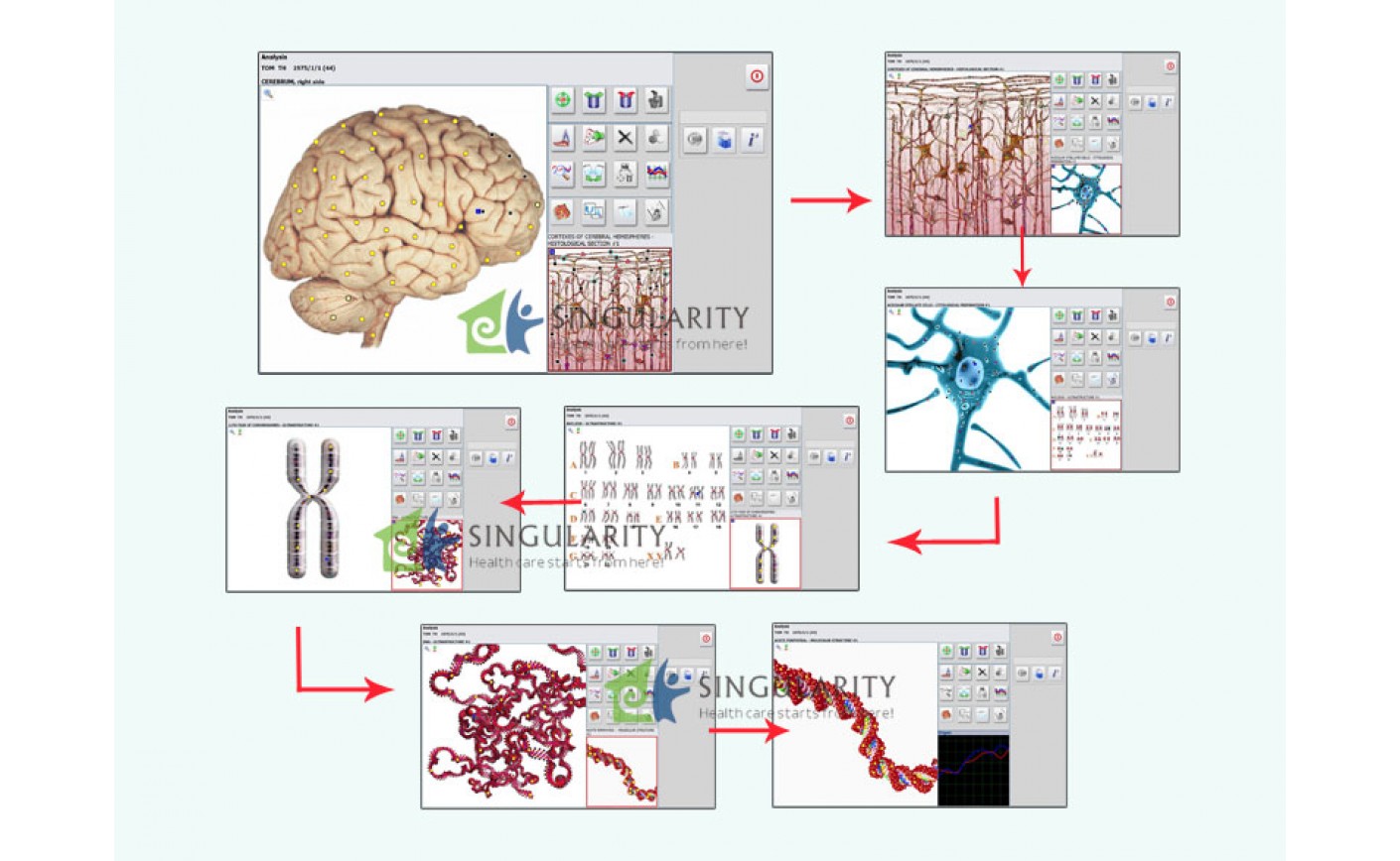 The Feature Of Metapathia GR Hunter 4025