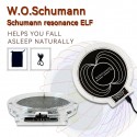 The Earth Brain Wave-Schumann Wave