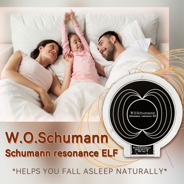 The Earth Brain Wave-Schumann Wave
