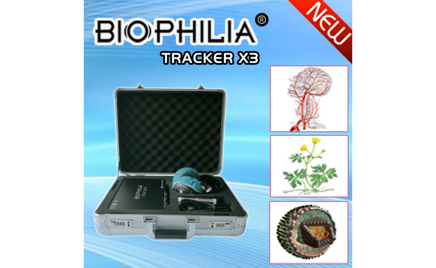 Biophilia Tracker and Four Seasons Liver Autumn and Winter
