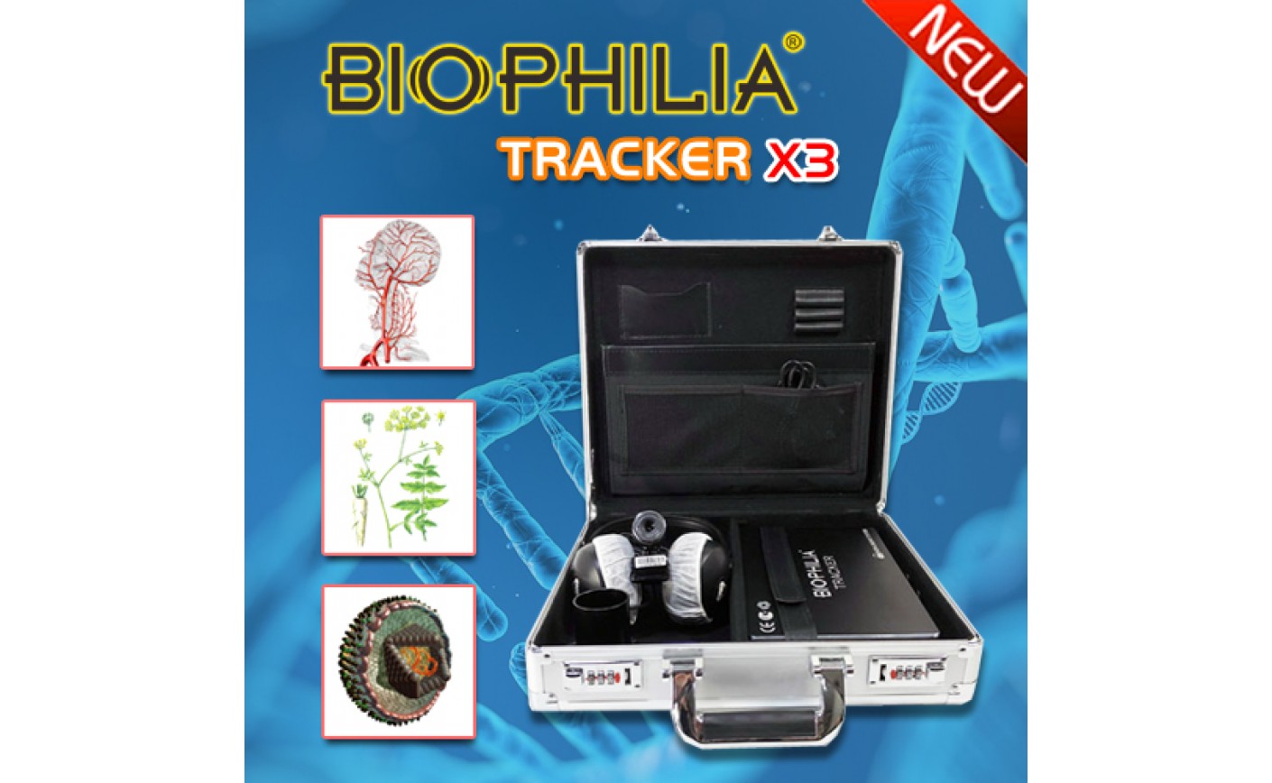 Diagnostic Value Of Biophilia Tracker For Knee Joint