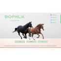 Dispositivo de diagnóstico y metaterapia Biophilia Guardian A2 NLS para caballos