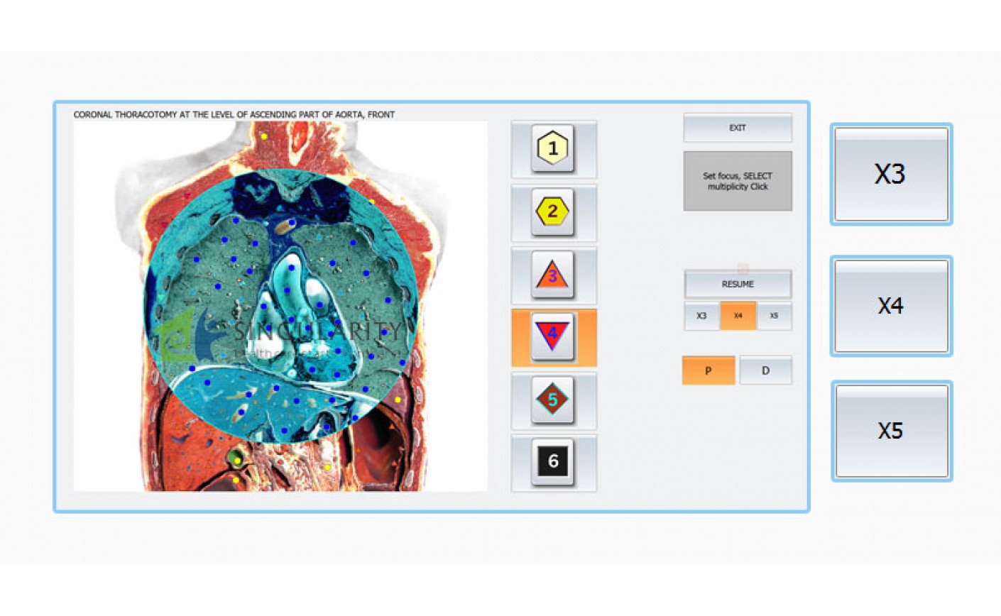 Evaluation Of Changes At Various Skin Diseases By NLS-technologies With Biophilia Tracker