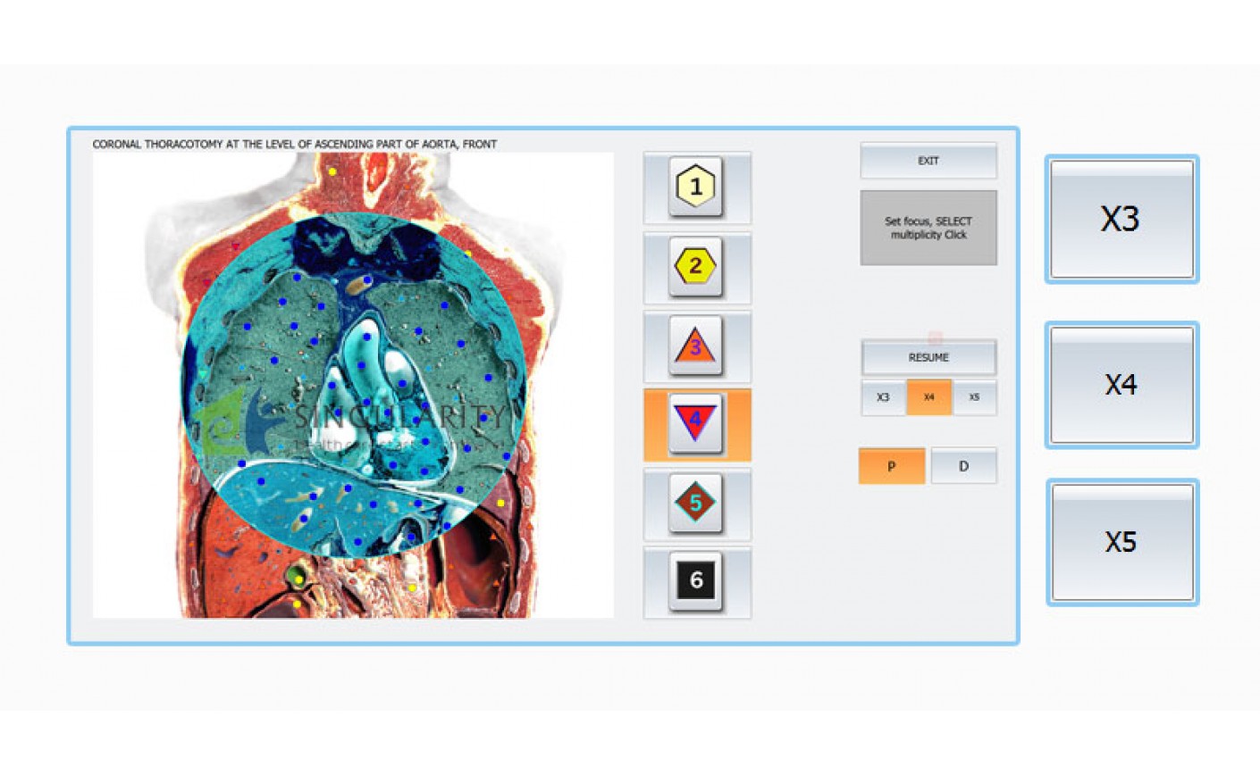 Evaluation Of Changes At Various Skin Diseases By NLS-technologies With Biophilia Tracker